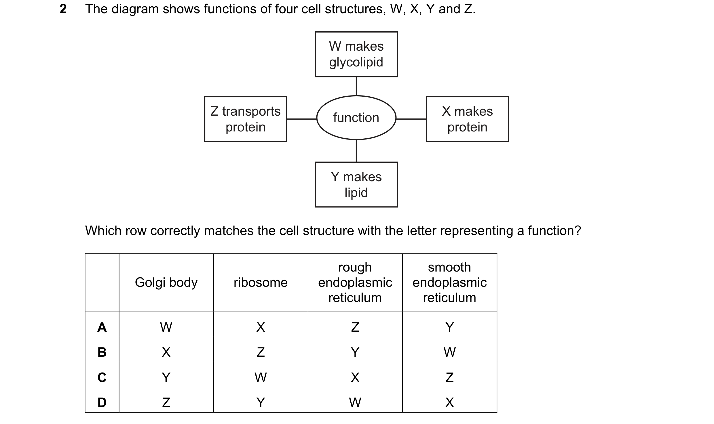 Question 192: The diagram shows functions of four cell structures, W, X, Y and Z. W makes glycolipid Z transports X makes function protein protein Y make…
