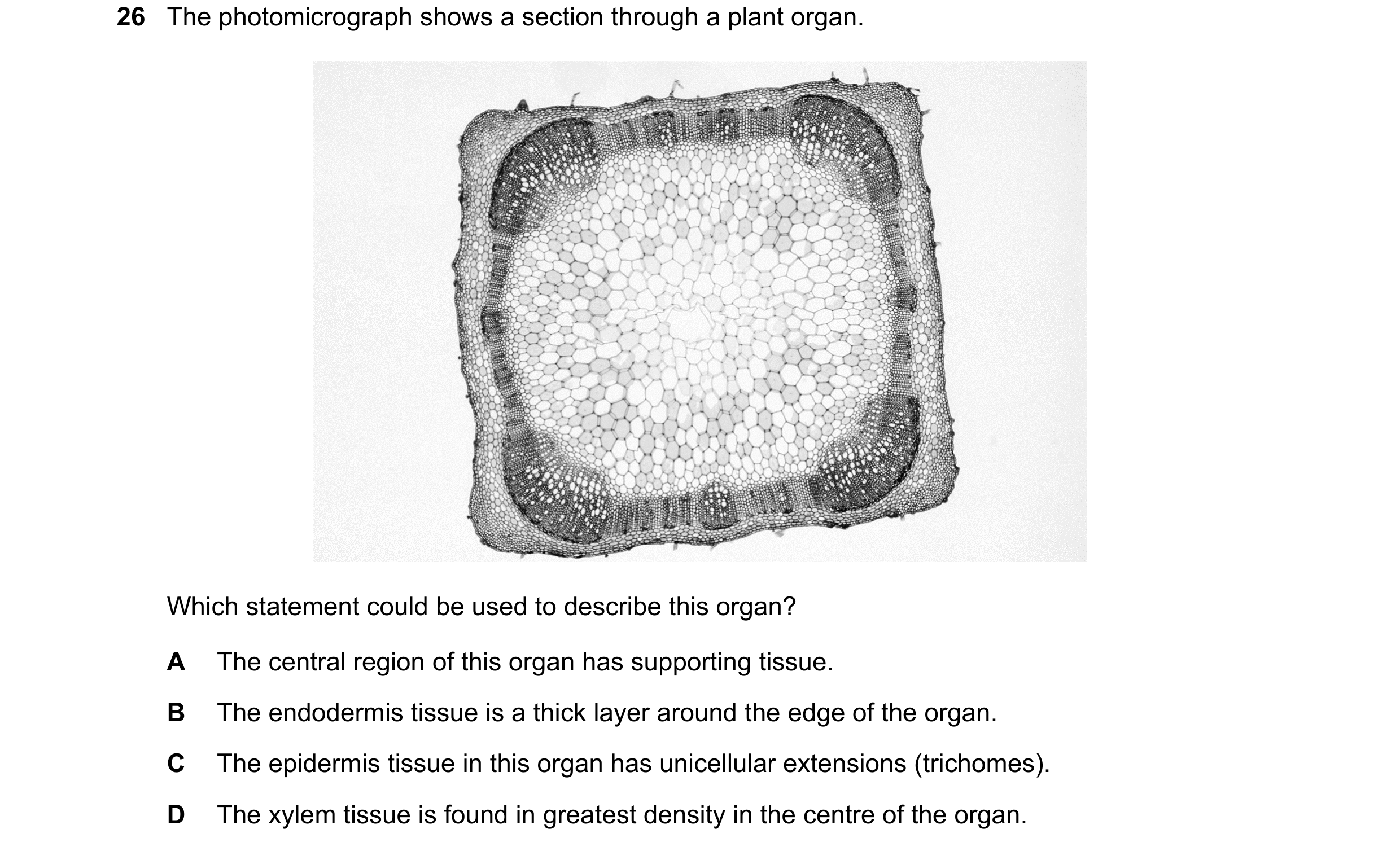 Question 55: The photomicrograph shows a section through a plant organ. Which statement could be used to describe this organ? A The central region of th…