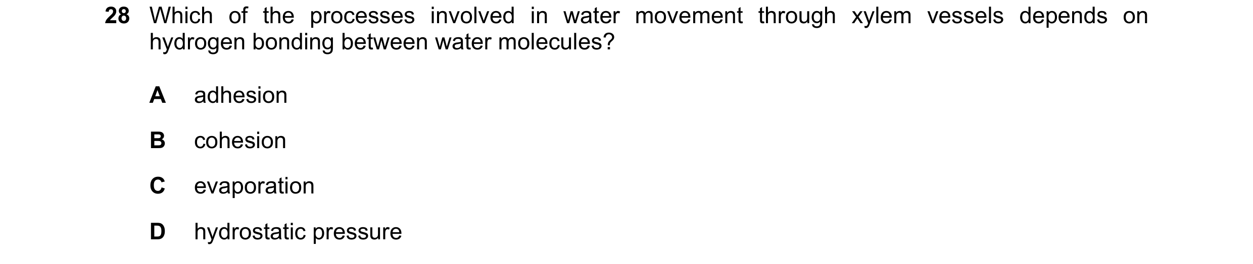 Question 184: Which of the processes involved in water movement through xylem vessels depends on hydrogen bonding between water molecules? A adhesion B c…