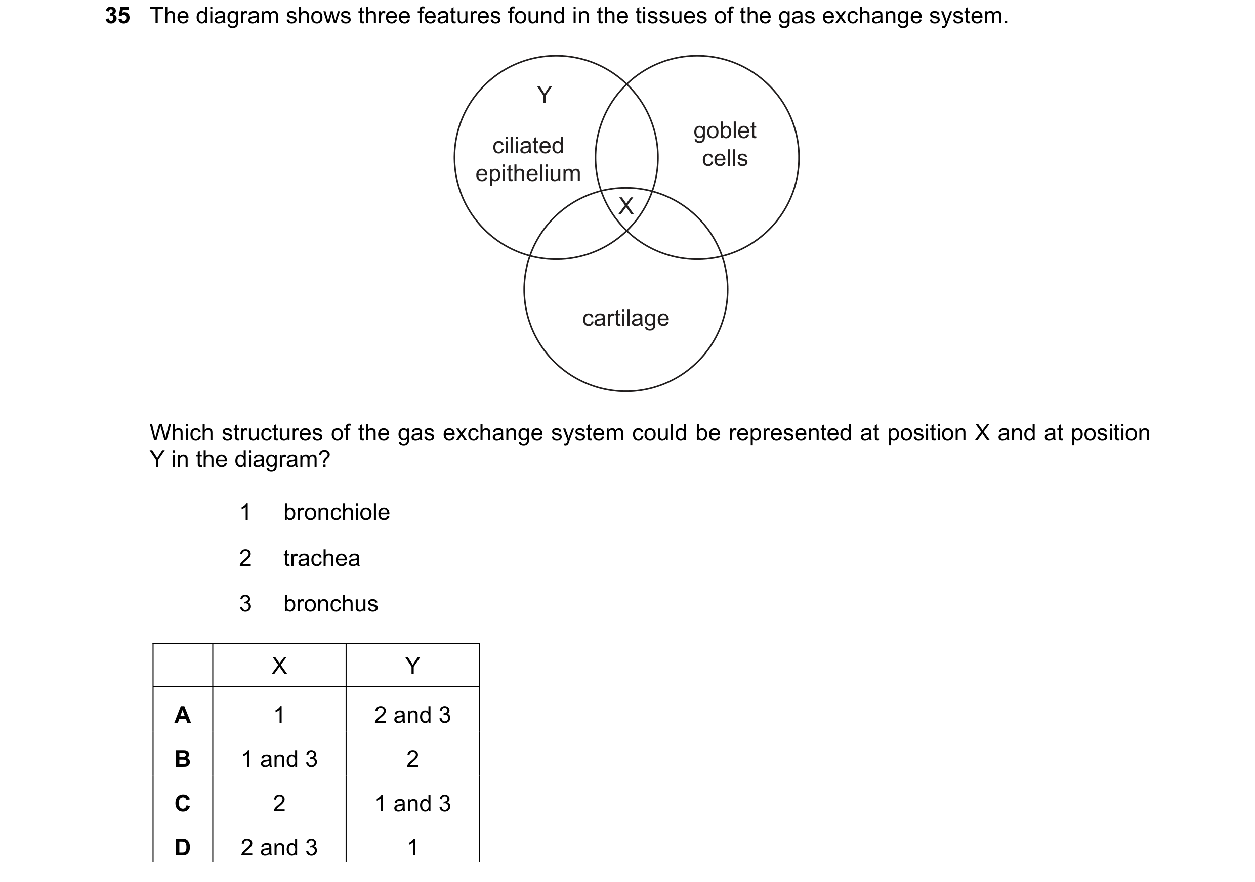 Question 149: The diagram shows three features found in the tissues of the gas exchange system. Y goblet ciliated cells epithelium X cartilage Which stru…