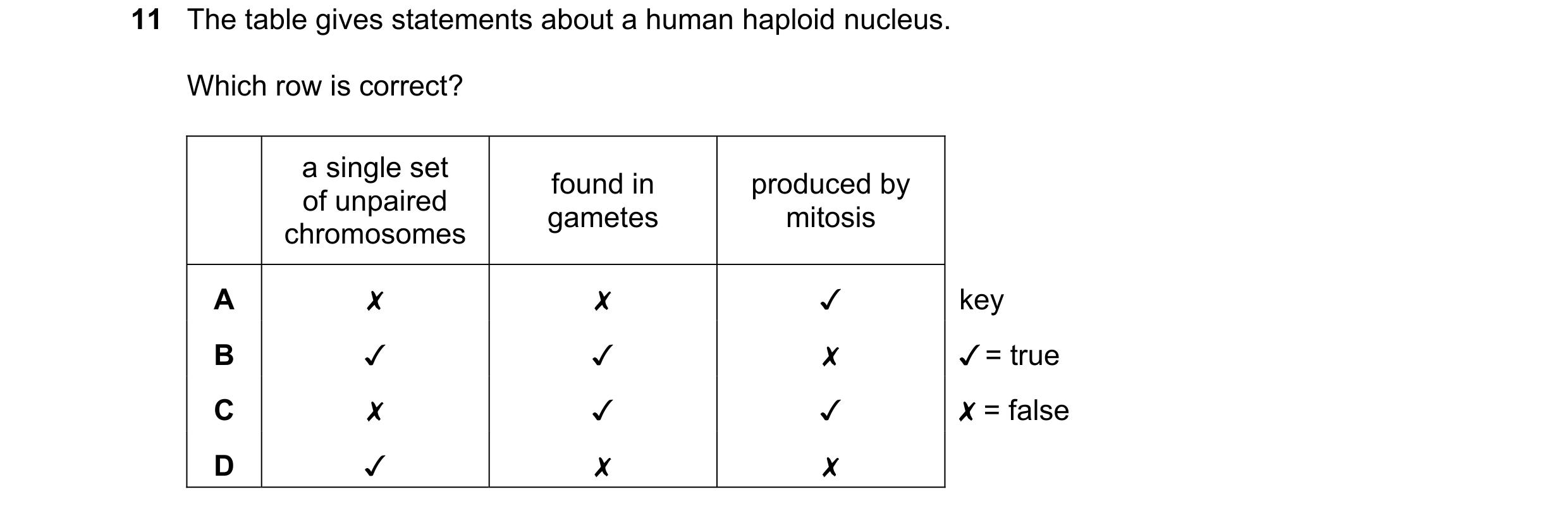 Question 12: The table gives statements about a human haploid nucleus.

Which row is correct?

a single set

of unpaired found in produced by
chromosome…