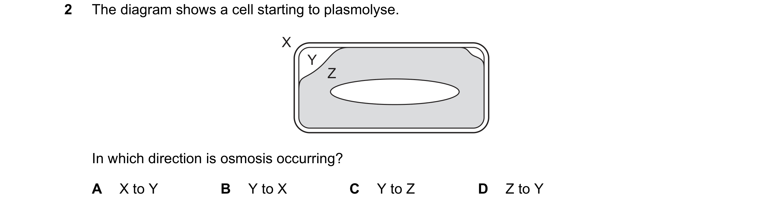 Question 11: The diagram shows a cell starting to plasmolyse. X Y Z In which direction is osmosis occurring? A X to Y B Y to X C Y to Z D Z to Y