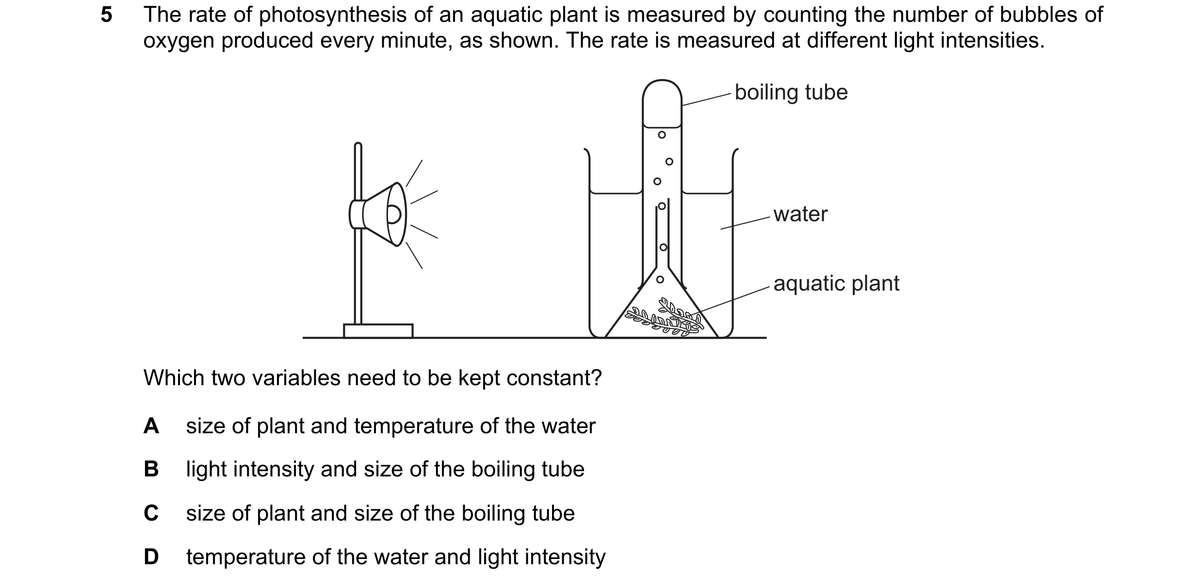 Question 15: The rate of photosynthesis of an aquatic plant is measured by counting the number of bubbles of oxygen produced every minute, as shown. The…