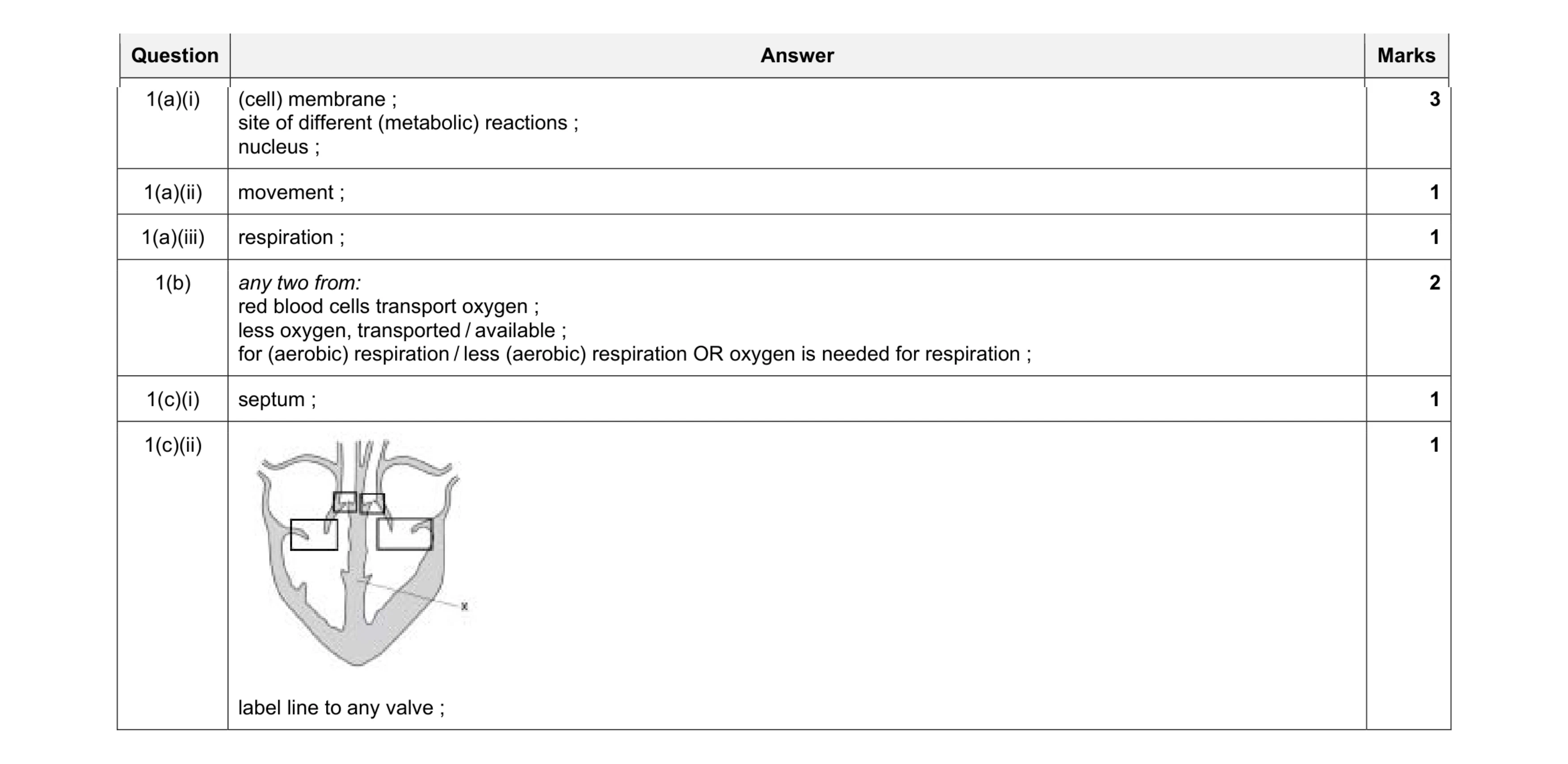 Mark scheme for question 7