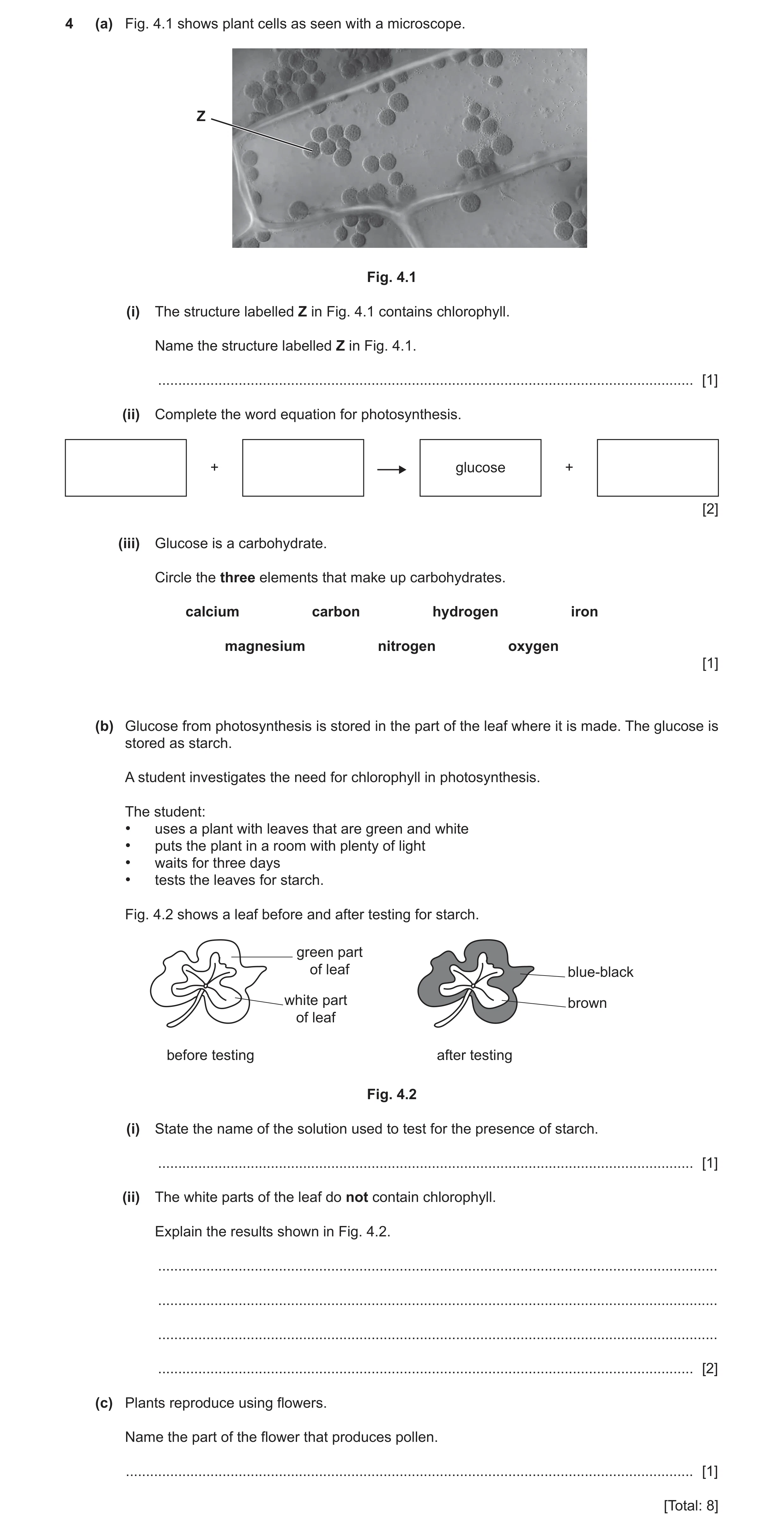 Question 8: (a) Fig. 4.1 shows plant cells as seen with a microscope. Z Fig. 4.1 (i) The structure labelled Z in Fig. 4.1 contains chlorophyll. Name th…