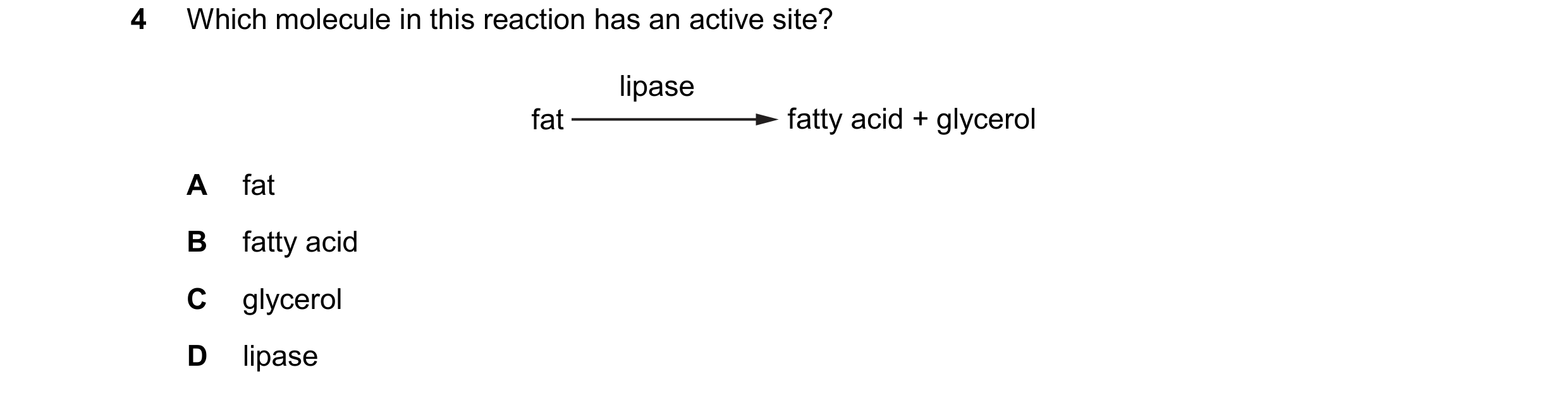 Question 56: Which molecule in this reaction has an active site? lipase fat fatty acid + glycerol A fat B fatty acid C glycerol D lipase