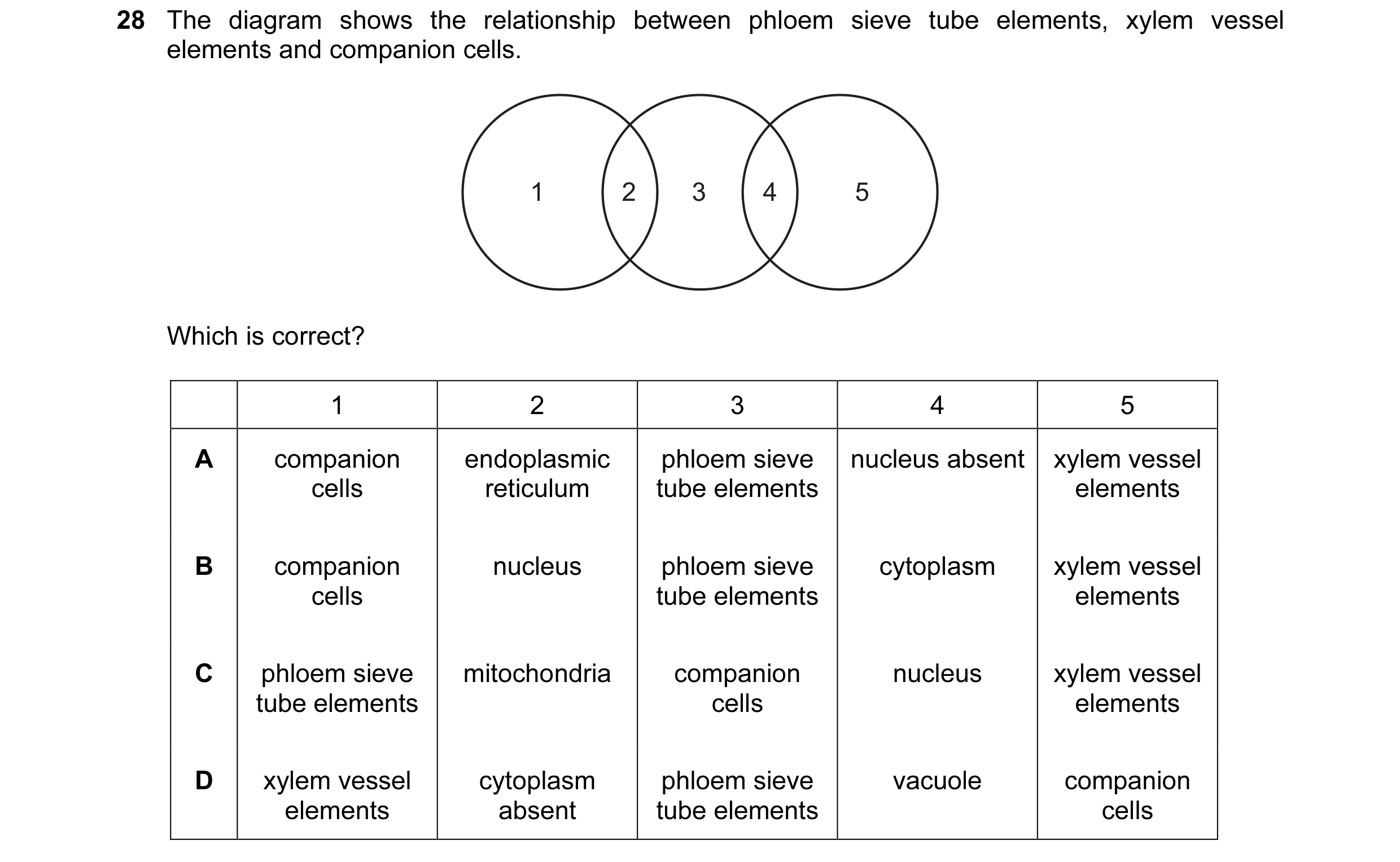 Question 35: The diagram shows the relationship between phloem sieve tube elements, xylem vessel elements and companion cells. 1 2 3 4 5 Which is correc…
