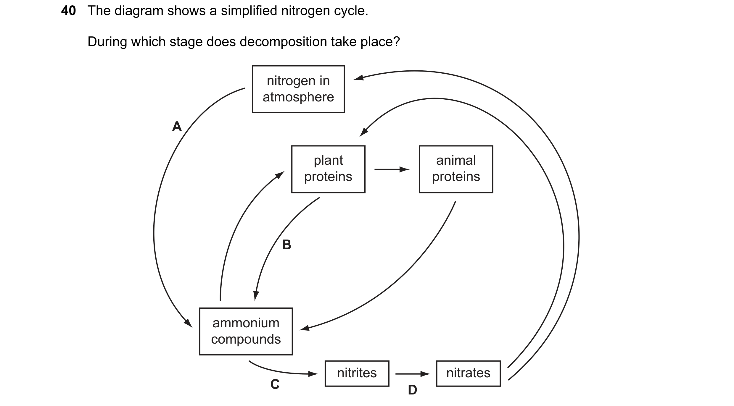 Question 17: The diagram shows a simplified nitrogen cycle. During which stage does decomposition take place? nitrogen in atmosphere A plant animal prot…