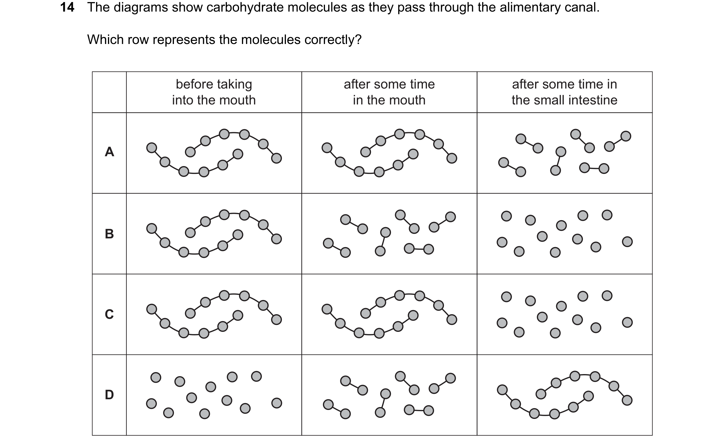 Question 19: The diagrams show carbohydrate molecules as they pass through the alimentary canal. Which row represents the molecules correctly? before ta…