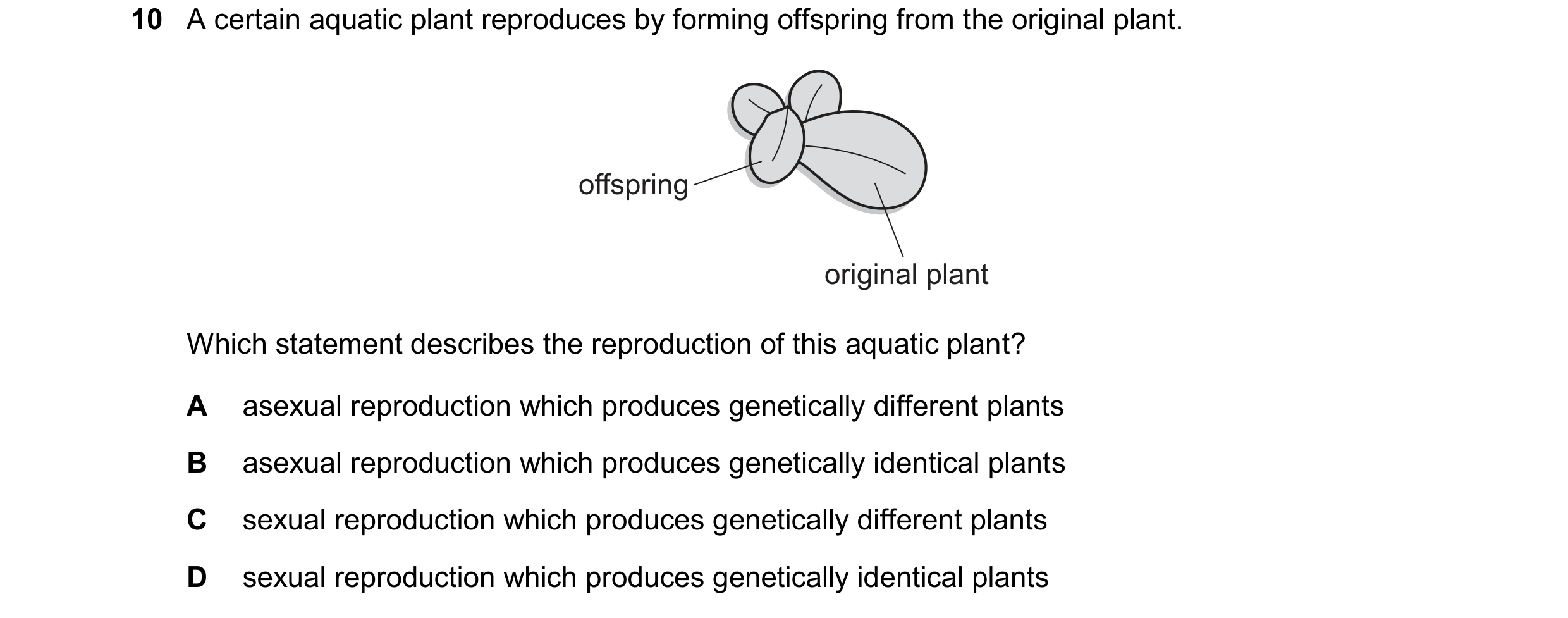 Question 26: A certain aquatic plant reproduces by forming offspring from the original plant. offspring original plant Which statement describes the rep…