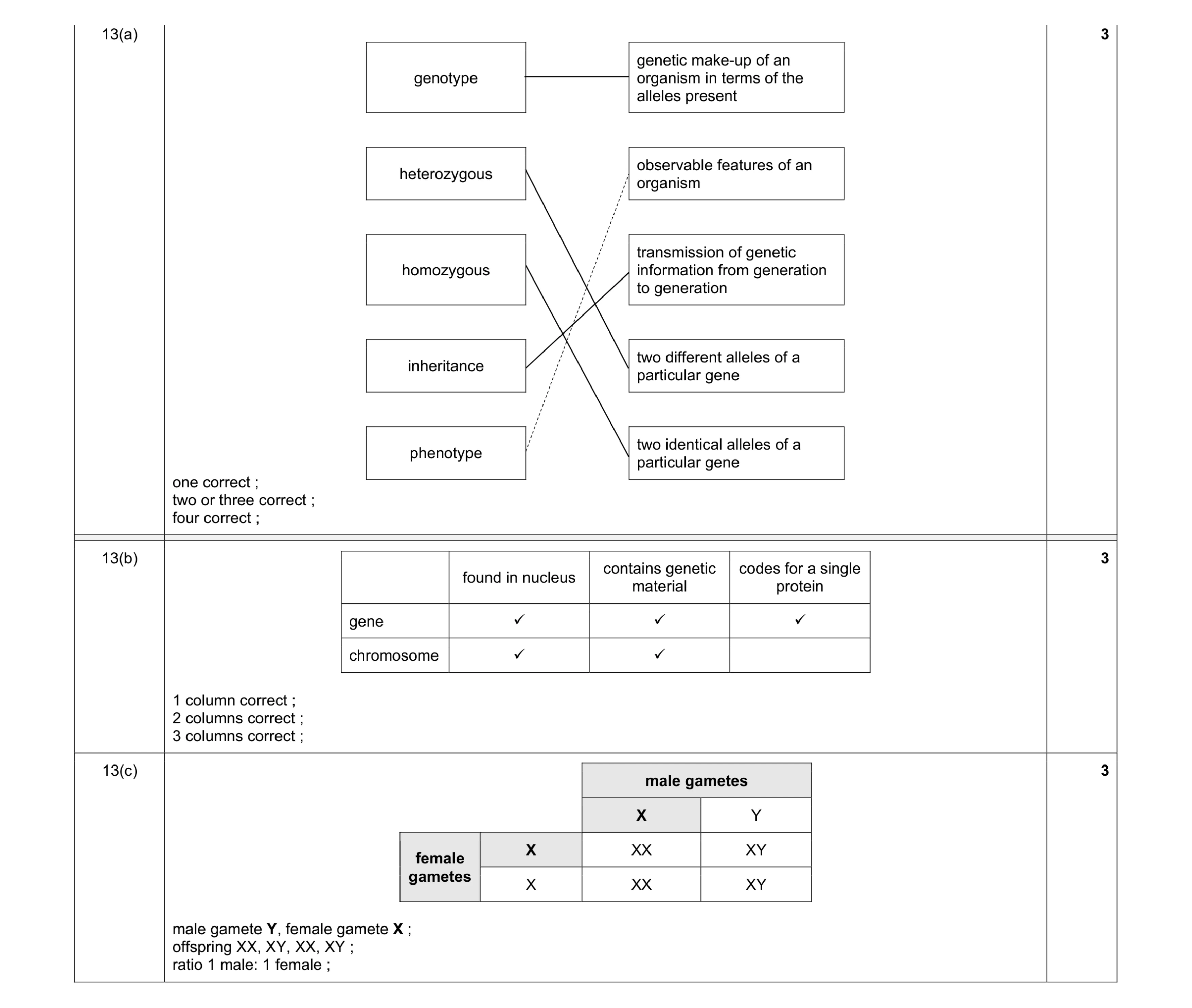 Mark scheme for question 5