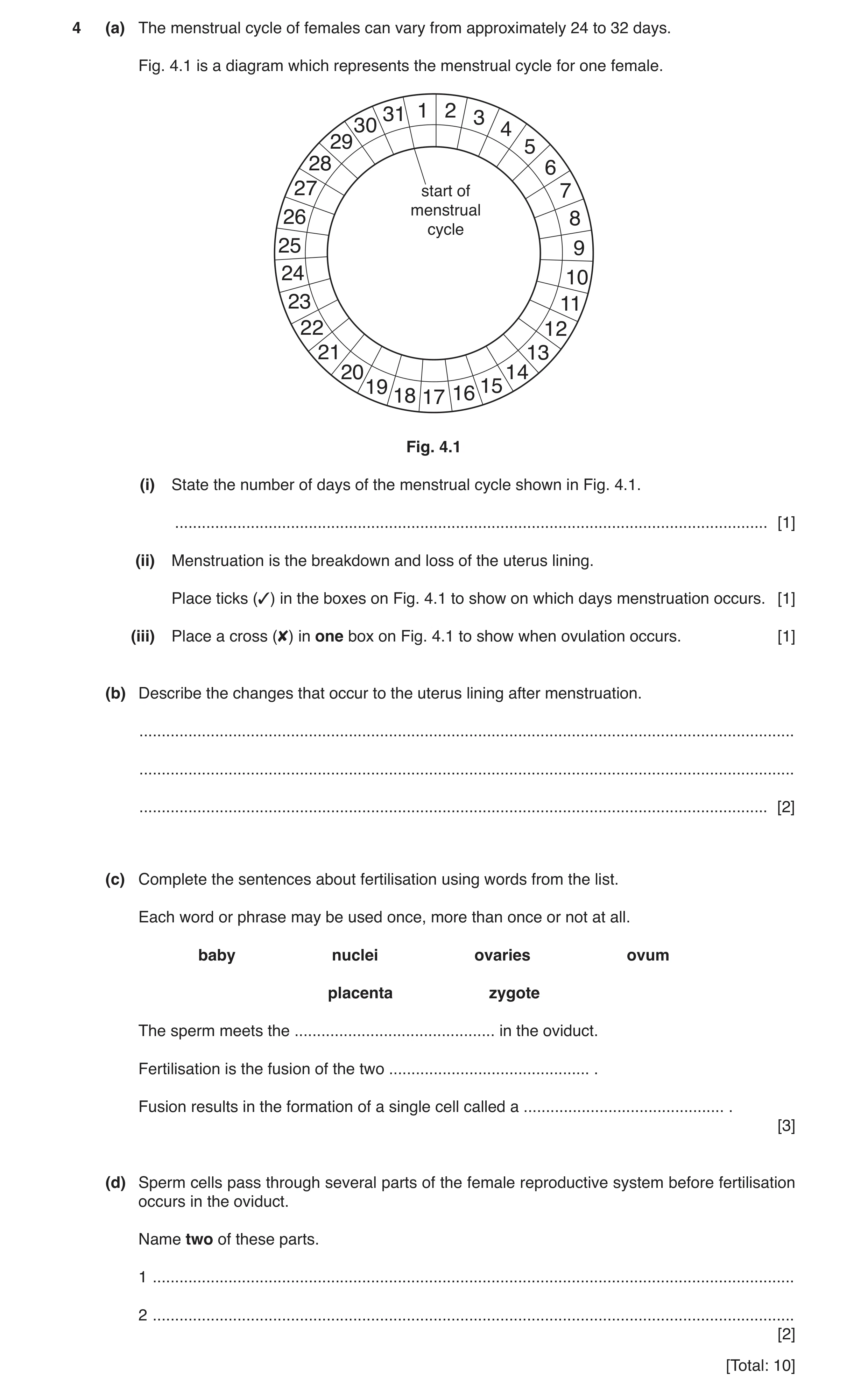Question 5: (a) The menstrual cycle of females can vary from approximately 24 to 32 days. Fig. 4.1 is a diagram which represents the menstrual cycle fo…