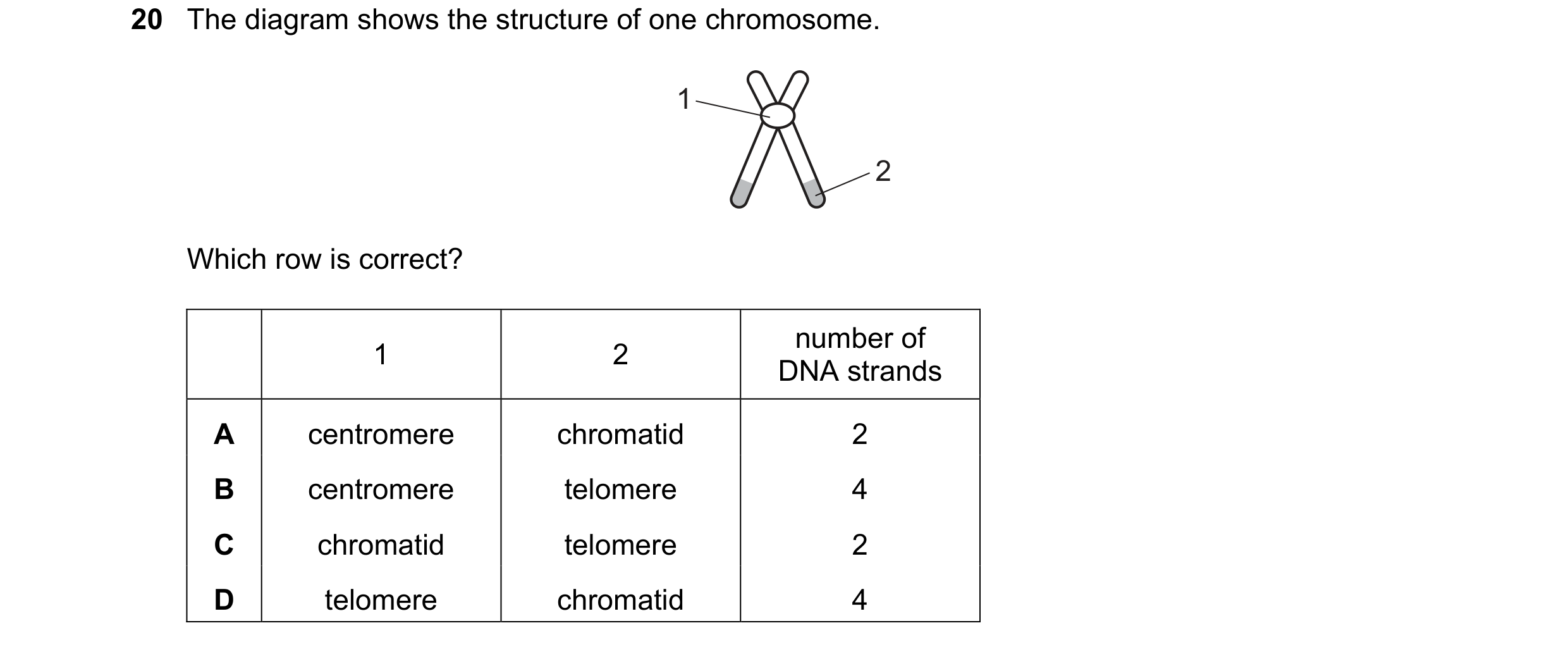 Question 58: The diagram shows the structure of one chromosome. 1 2 Which row is correct? number of 1 2 DNA strands A centromere chromatid 2 B centromer…