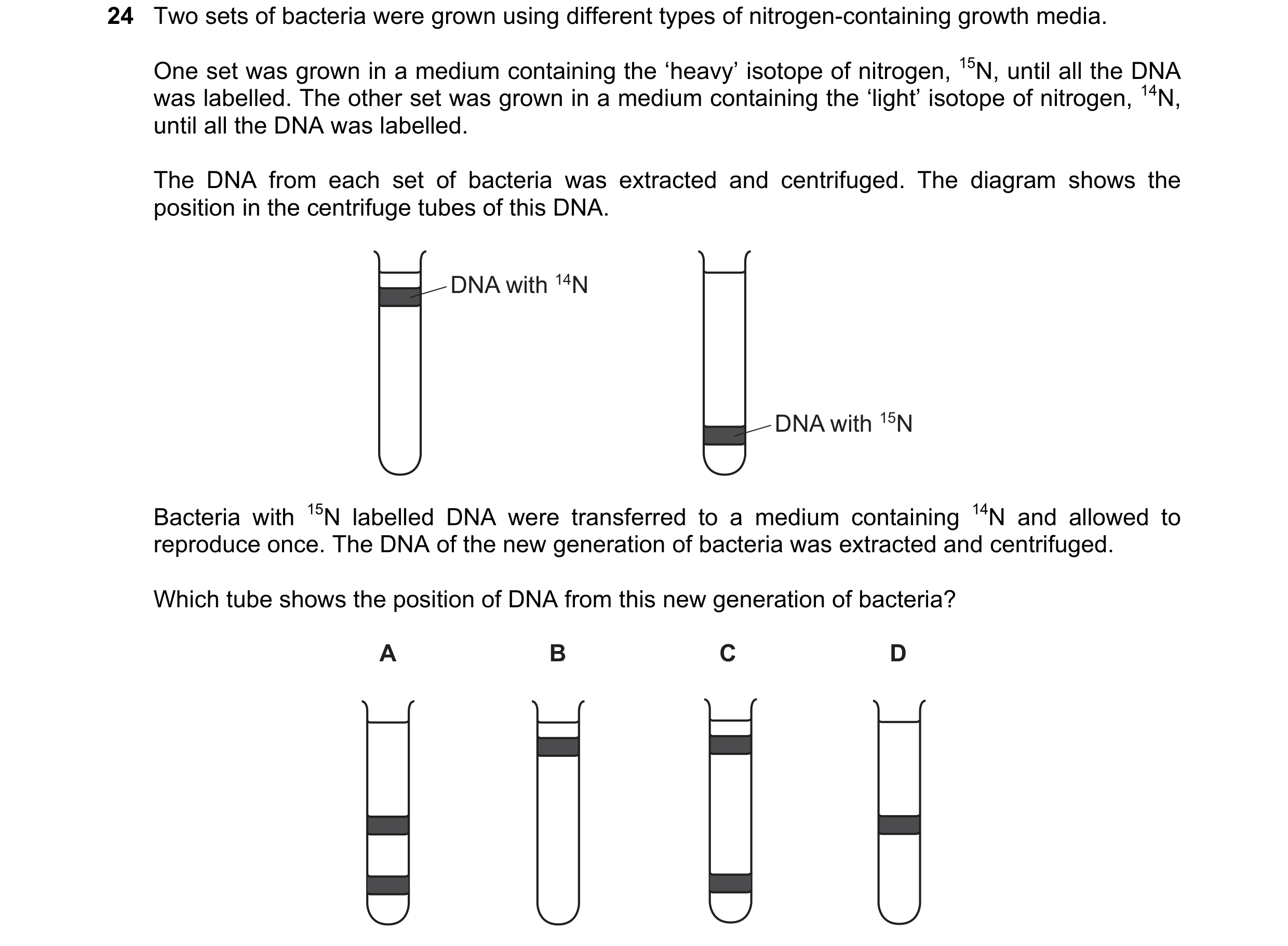 Question 108: Two sets of bacteria were grown using different types of nitrogen-containing growth media. One set was grown in a medium containing the ‘he…