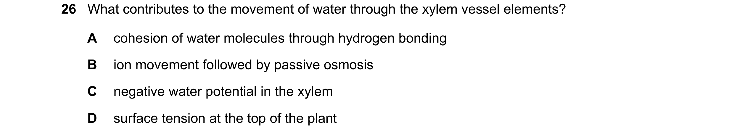 Question 167: What contributes to the movement of water through the xylem vessel elements? A cohesion of water molecules through hydrogen bonding B ion m…