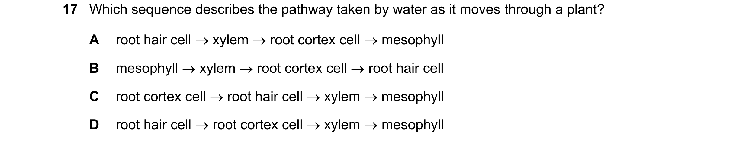 Question 7: Which sequence describes the pathway taken by water as it moves through a plant? A root hair cell  xylem  root cortex cell  mesophyll B …