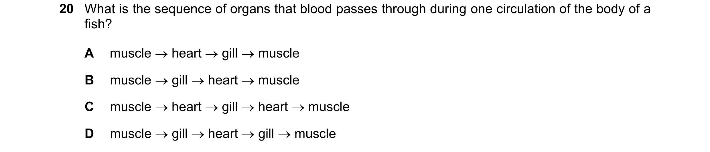 Question 8: What is the sequence of organs that blood passes through during one circulation of the body of a fish? A muscle  heart  gill  muscle B m…