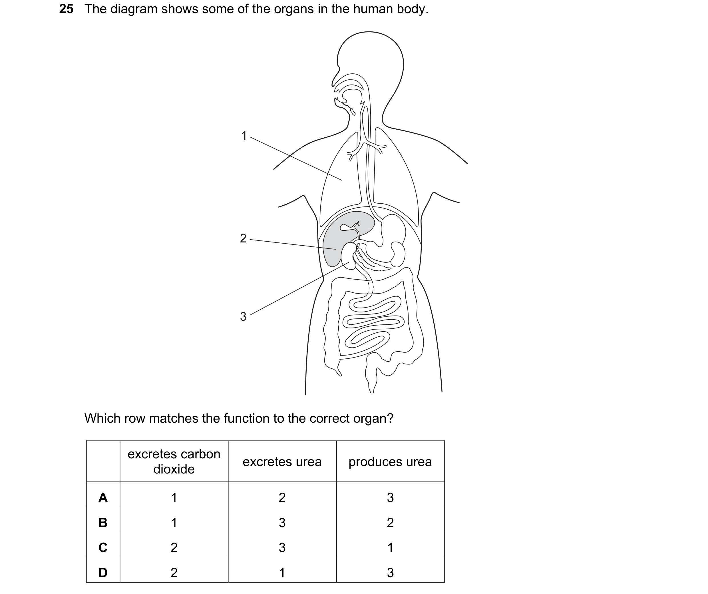Question 14: The diagram shows some of the organs in the human body. 1 2 3 Which row matches the function to the correct organ? excretes carbon excretes…