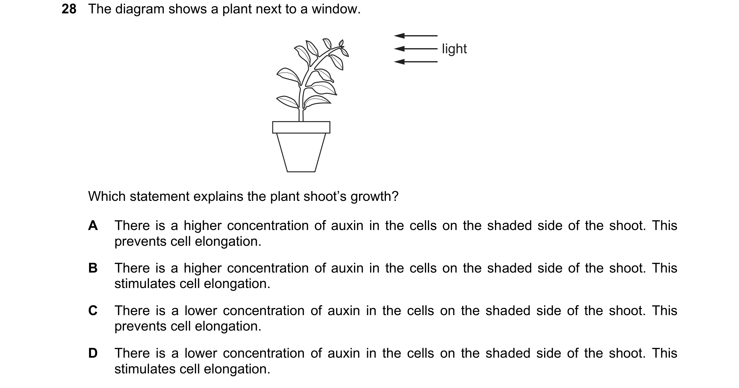 Question 7: The diagram shows a plant next to a window. light Which statement explains the plant shoot’s growth? A There is a higher concentration of a…