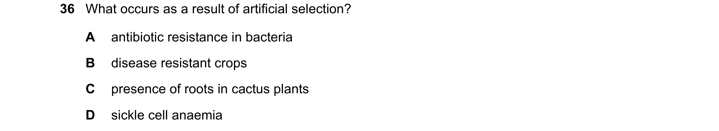 Question 12: What occurs as a result of artificial selection? A antibiotic resistance in bacteria B disease resistant crops C presence of roots in cactu…