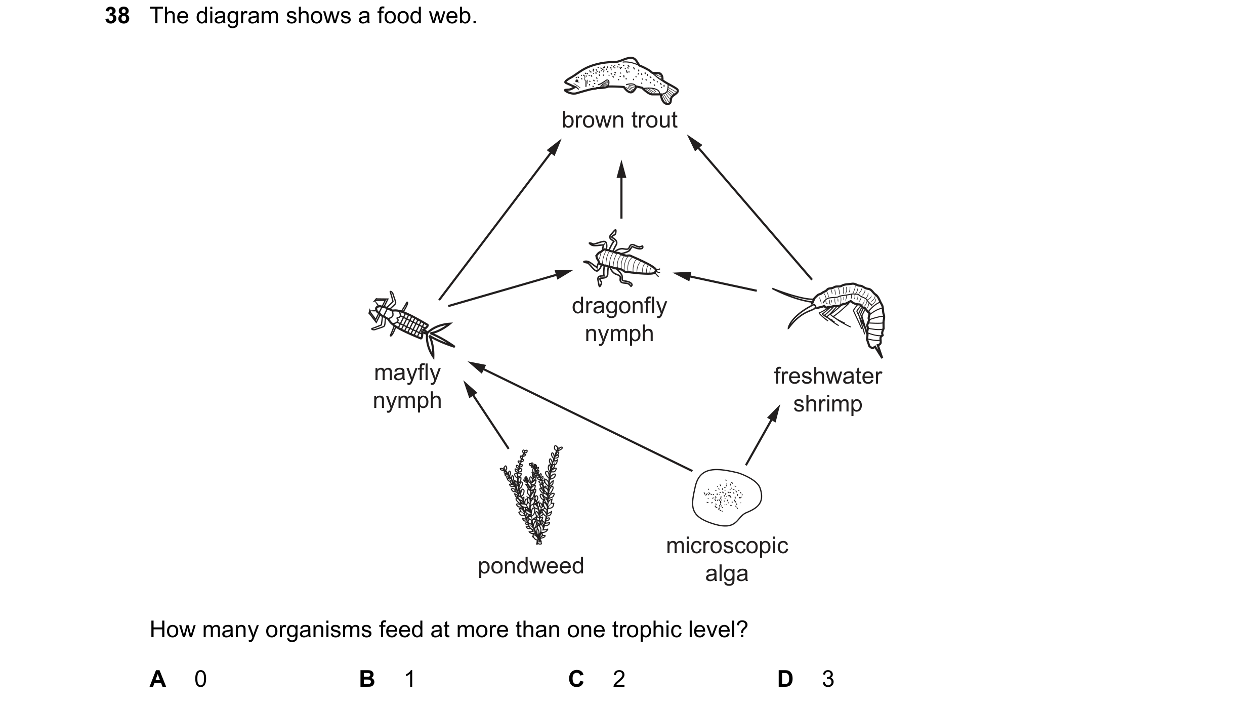 Question 13: The diagram shows a food web. brown trout dragonfly nymph mayfly freshwater nymph shrimp microscopic pondweed alga How many organisms feed …