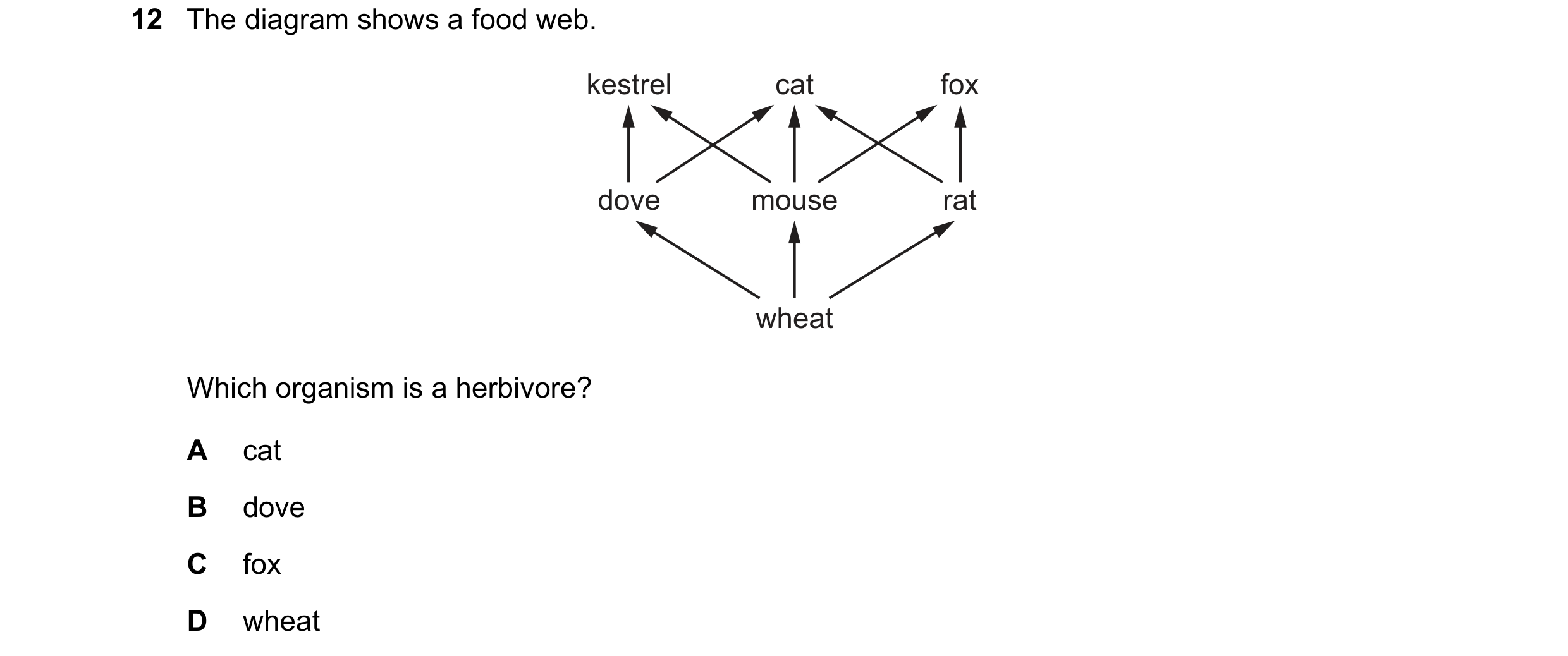 Question 45: The diagram shows a food web. kestrel cat fox dove mouse rat wheat Which organism is a herbivore? A cat B dove C fox D wheat