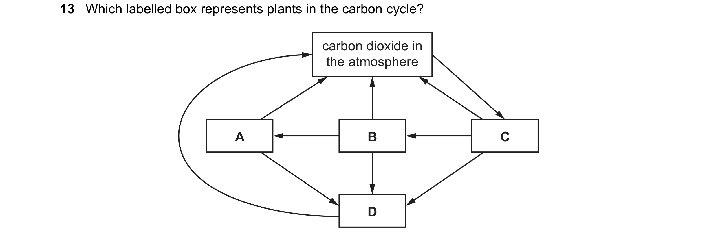 Question 36: Which labelled box represents plants in the carbon cycle? carbon dioxide in the atmosphere A B C D