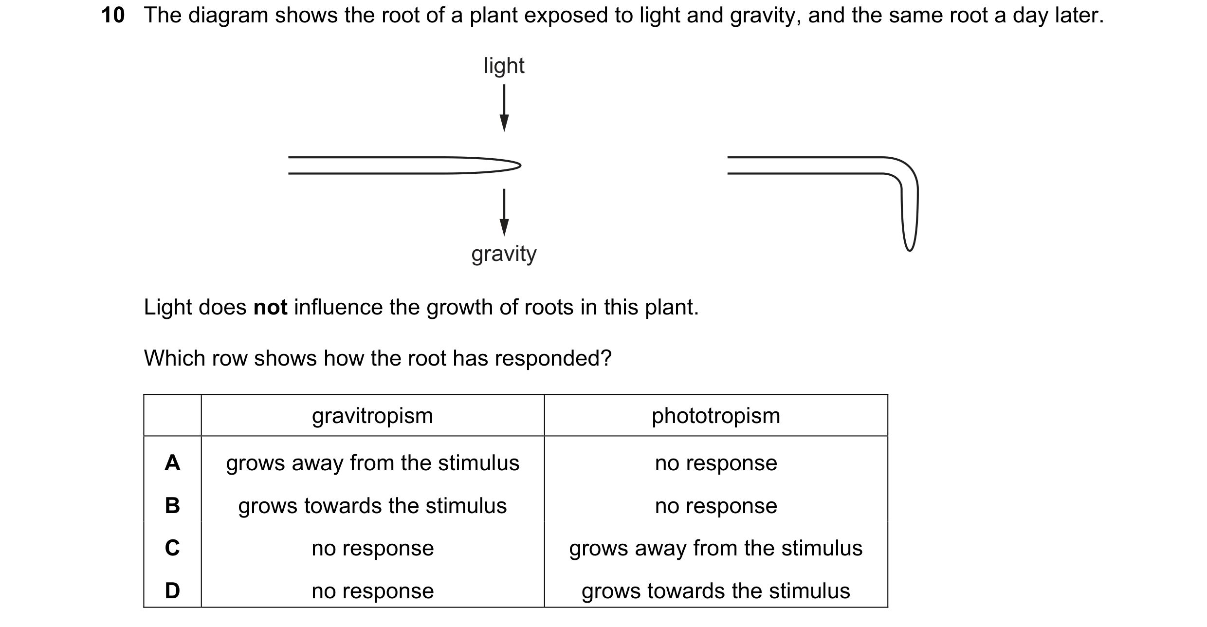 Question 20: The diagram shows the root of a plant exposed to light and gravity, and the same root a day later. light gravity Light does not influence t…