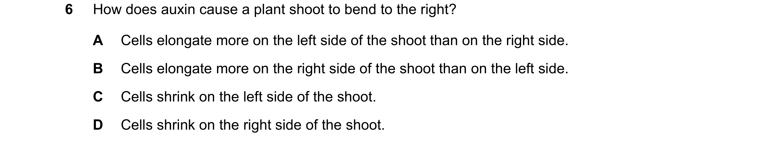 Question 19: How does auxin cause a plant shoot to bend to the right? A Cells elongate more on the left side of the shoot than on the right side. B Cell…