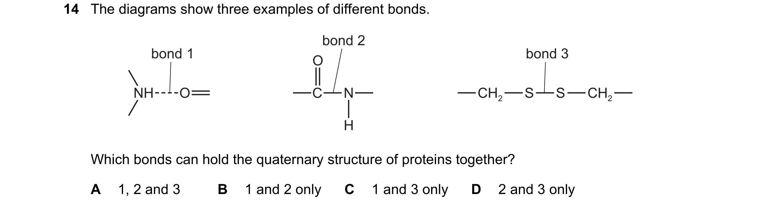 Question 197: The diagrams show three examples of different bonds. bond 2 bond 1 bond 3 O NH O C N CH2 S S CH2 H Which bonds can hold the quaternary stru…