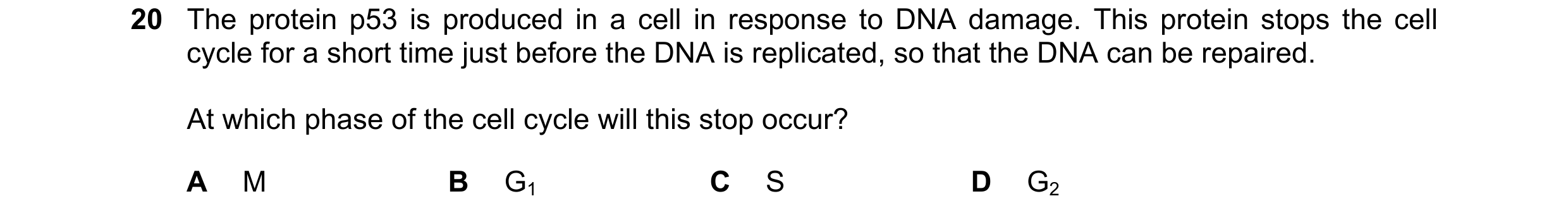 Question 141: The protein p53 is produced in a cell in response to DNA damage. This protein stops the cell cycle for a short time just before the DNA is …