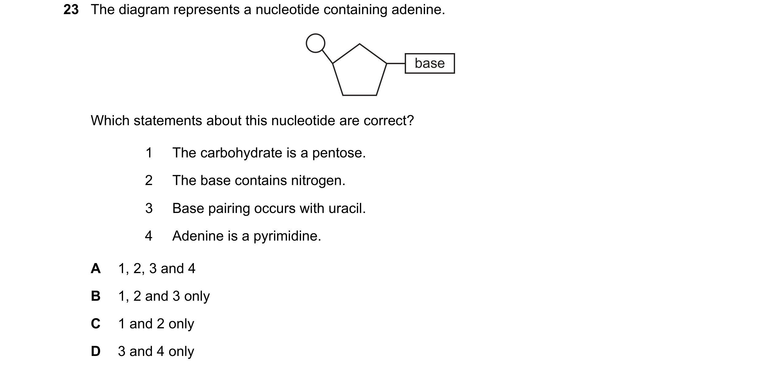 Question 175: The diagram represents a nucleotide containing adenine. base Which statements about this nucleotide are correct? 1 The carbohydrate is a pe…