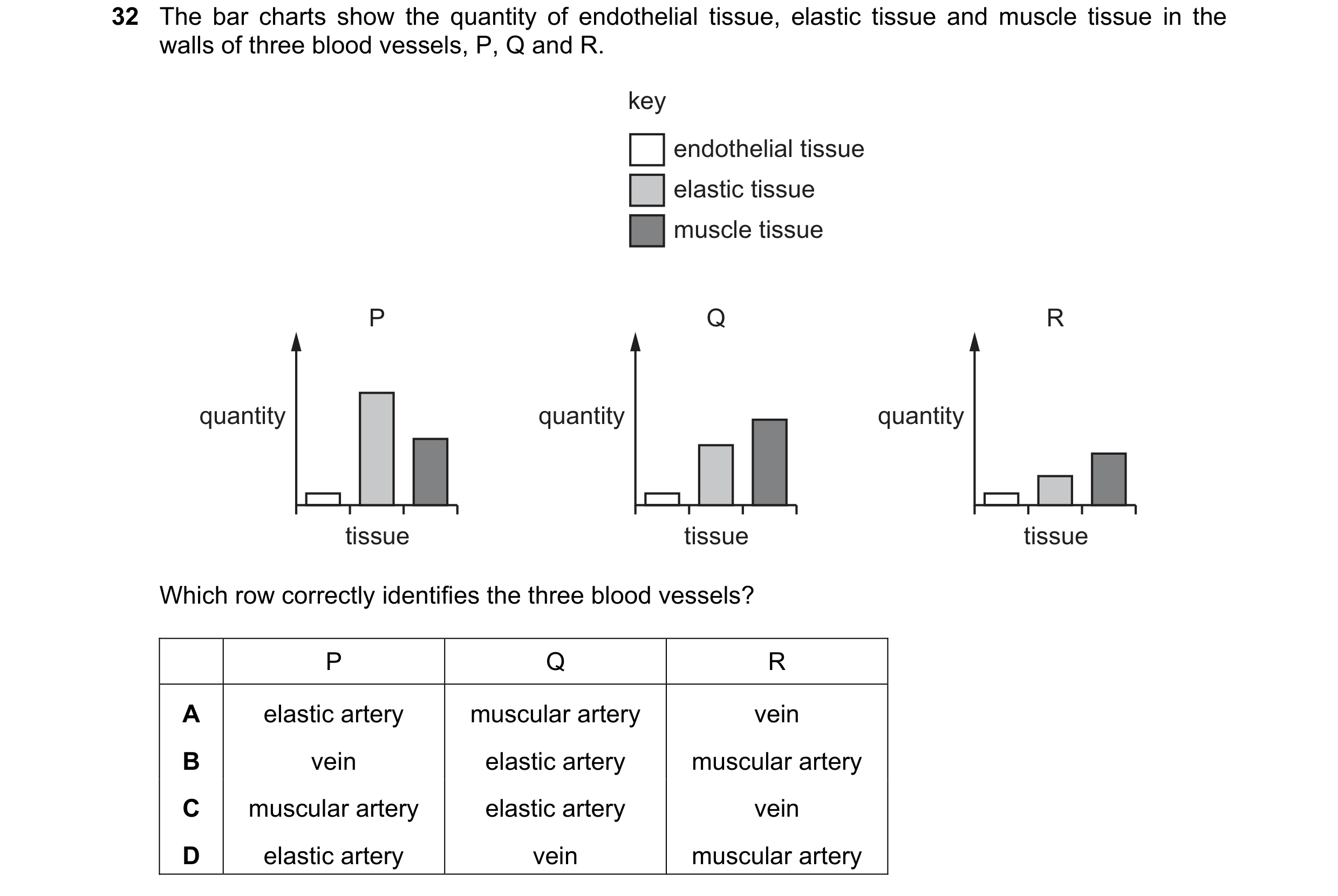 Question 121: The bar charts show the quantity of endothelial tissue, elastic tissue and muscle tissue in the walls of three blood vessels, P, Q and R. k…