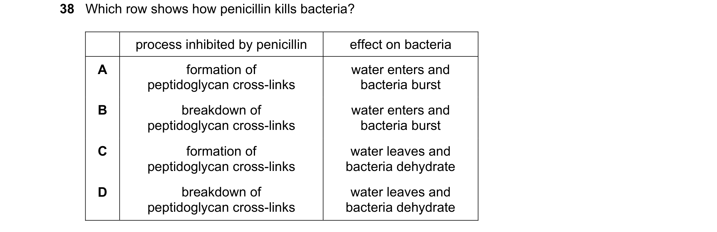 Question 68: Which row shows how penicillin kills bacteria? process inhibited by penicillin effect on bacteria A formation of water enters and peptidogl…
