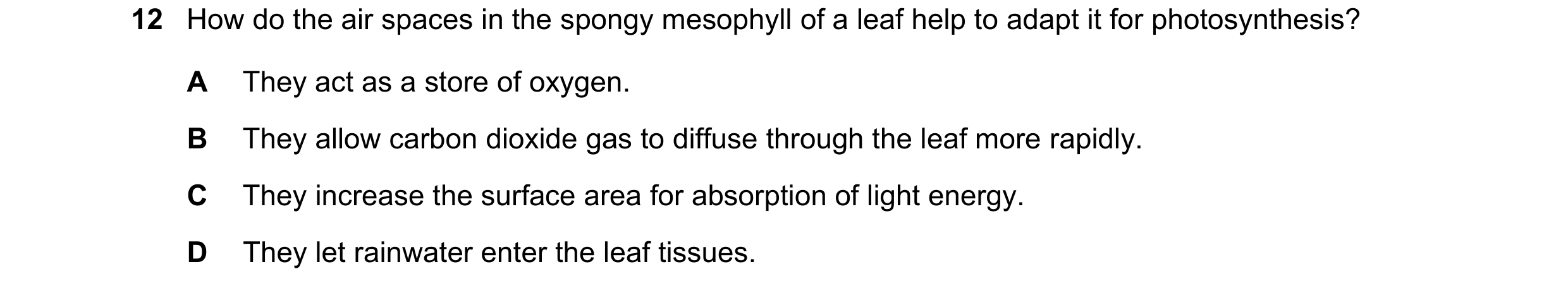 Question 9: How do the air spaces in the spongy mesophyll of a leaf help to adapt it for photosynthesis? A They act as a store of oxygen. B They allow …