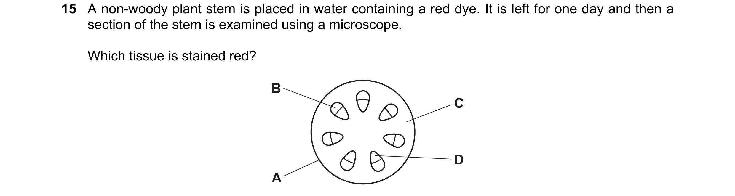 Question 9: A non-woody plant stem is placed in water containing a red dye. It is left for one day and then a section of the stem is examined using a m…
