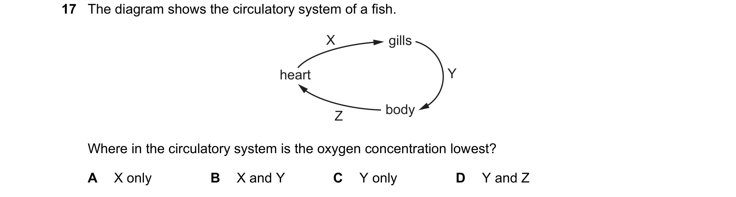 Question 9: The diagram shows the circulatory system of a fish. X gills heart Y body Z Where in the circulatory system is the oxygen concentration lowe…