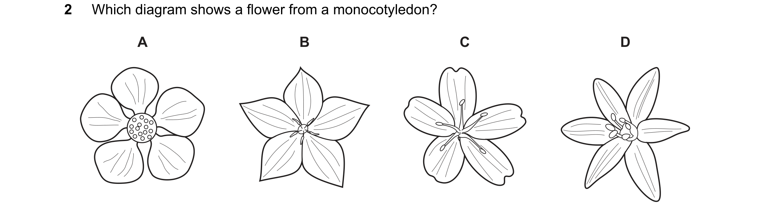 Question 16: Which diagram shows a flower from a monocotyledon? A B C D