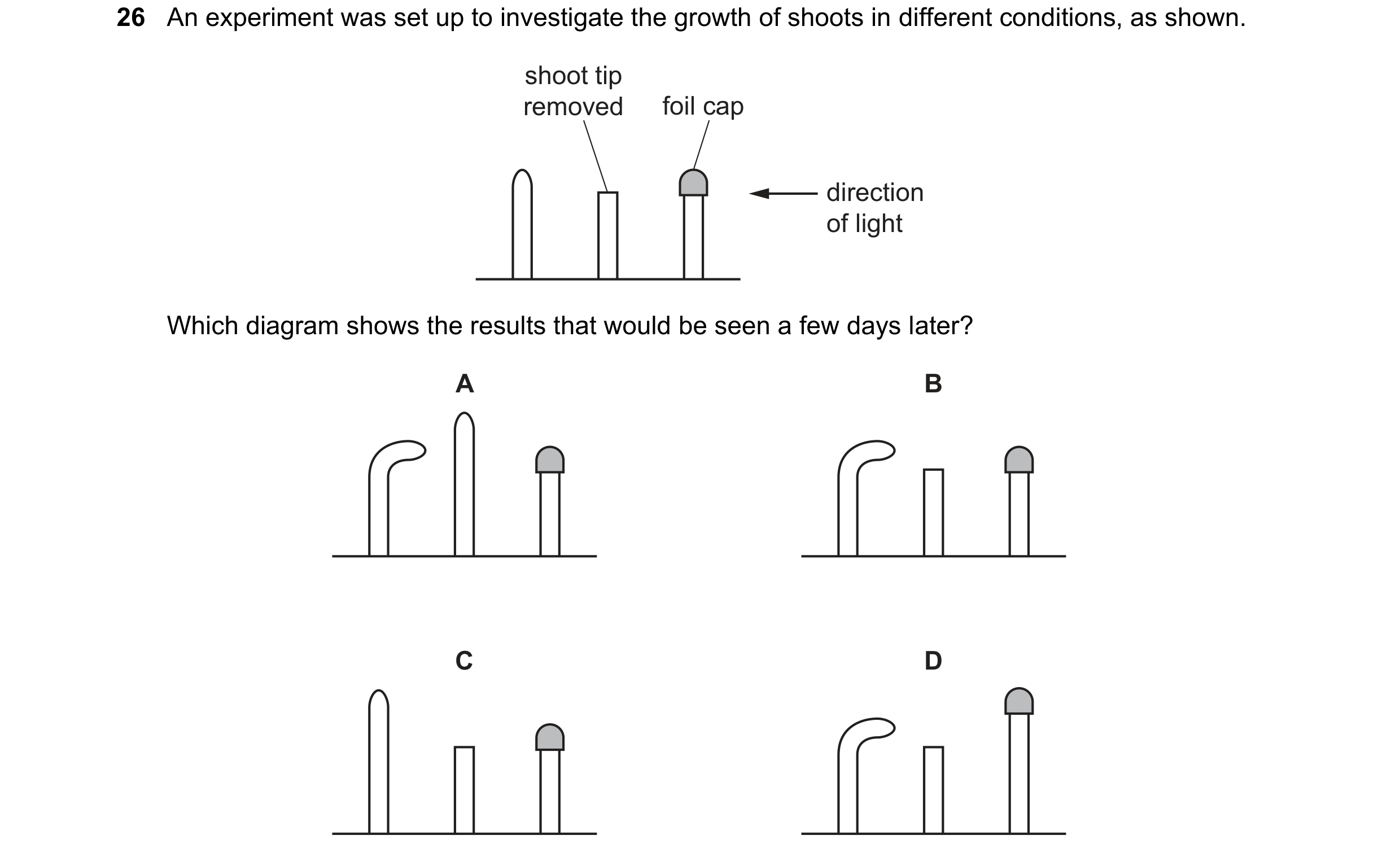 Question 9: An experiment was set up to investigate the growth of shoots in different conditions, as shown. shoot tip removed foil cap direction of lig…