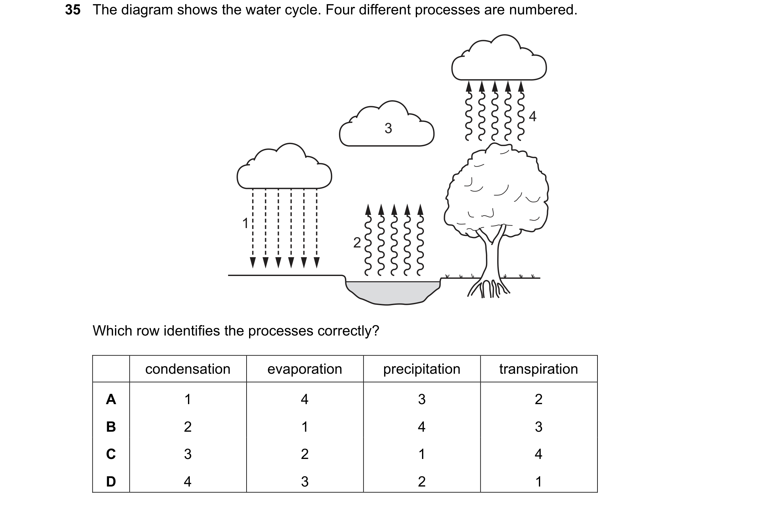Question 9: The diagram shows the water cycle. Four different processes are numbered. 4 3 1 2 Which row identifies the processes correctly? condensatio…