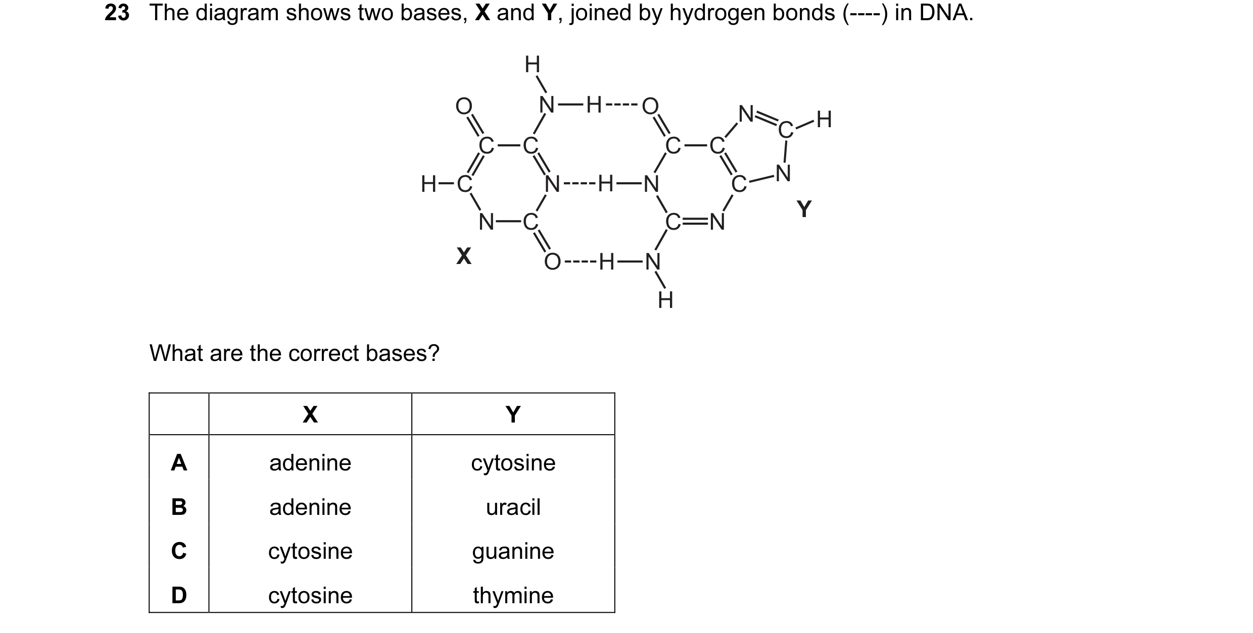 Question 15: The diagram shows two bases, X and Y, joined by hydrogen bonds (----) in DNA. H O N H O N H C C C C C H N H C N N C Y N C C N X O H N H Wha…