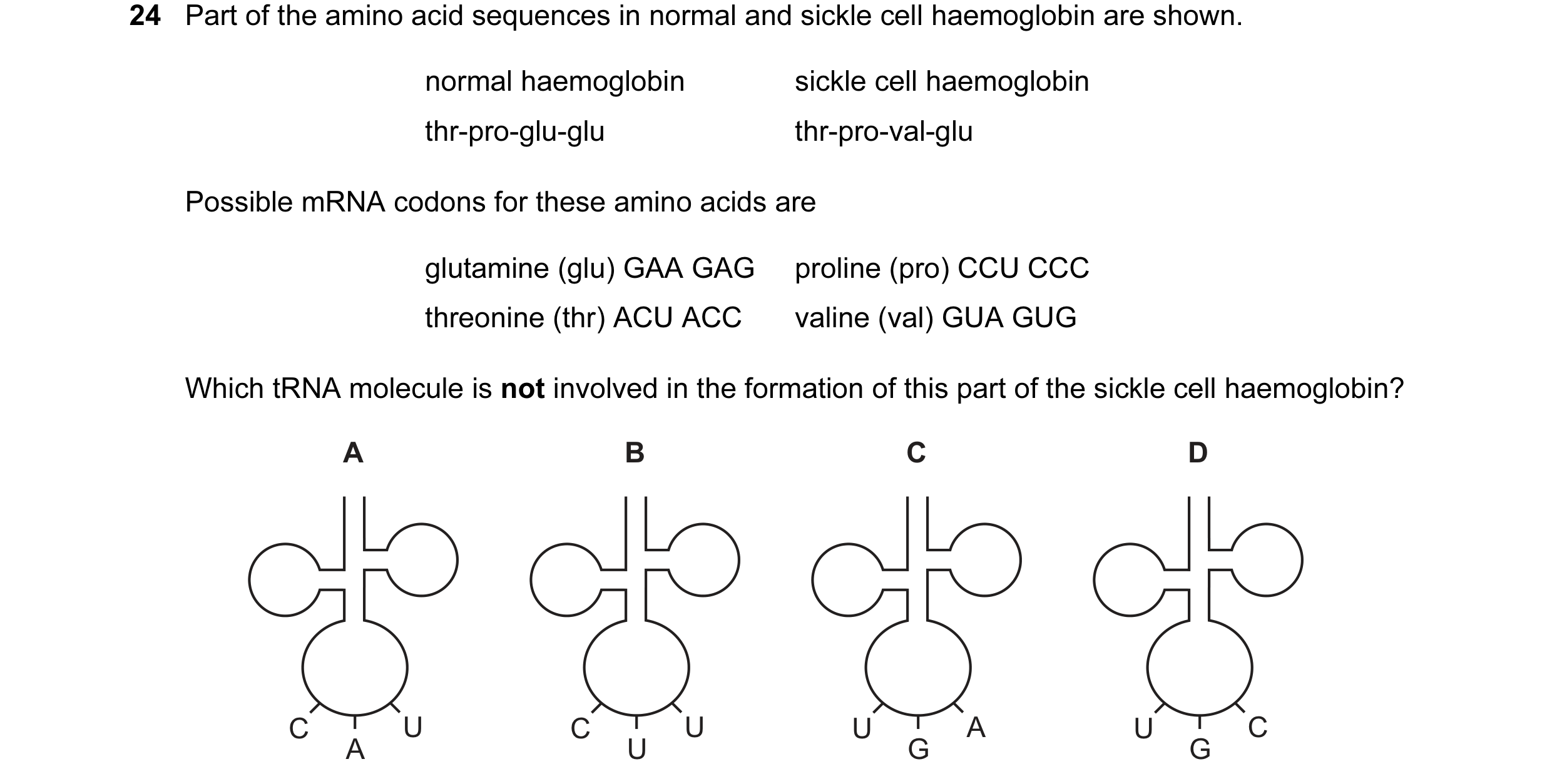 Question 13: Part of the amino acid sequences in normal and sickle cell haemoglobin are shown. normal haemoglobin sickle cell haemoglobin thr-pro-glu-gl…