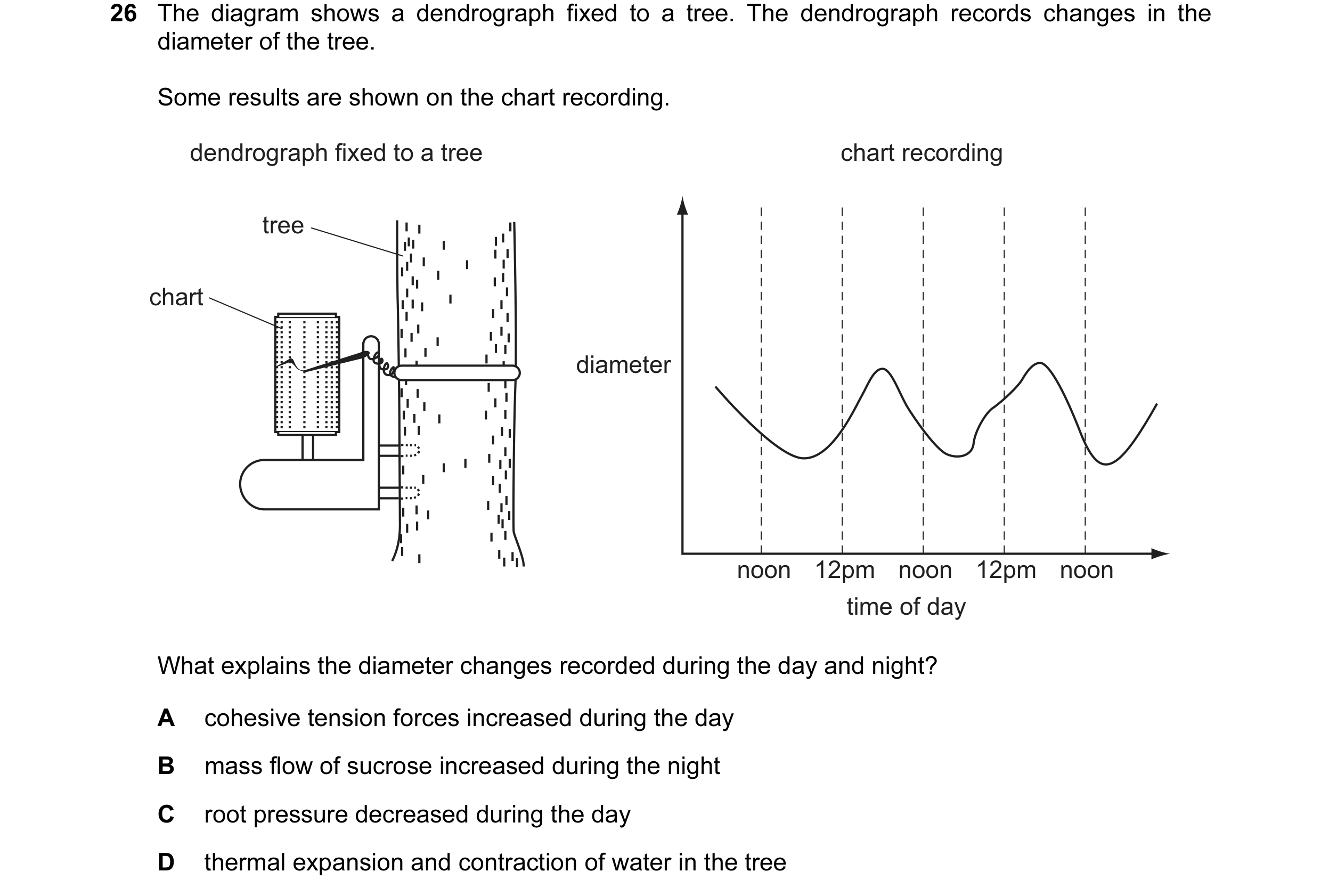 Question 12: The diagram shows a dendrograph fixed to a tree. The dendrograph records changes in the diameter of the tree. Some results are shown on the…