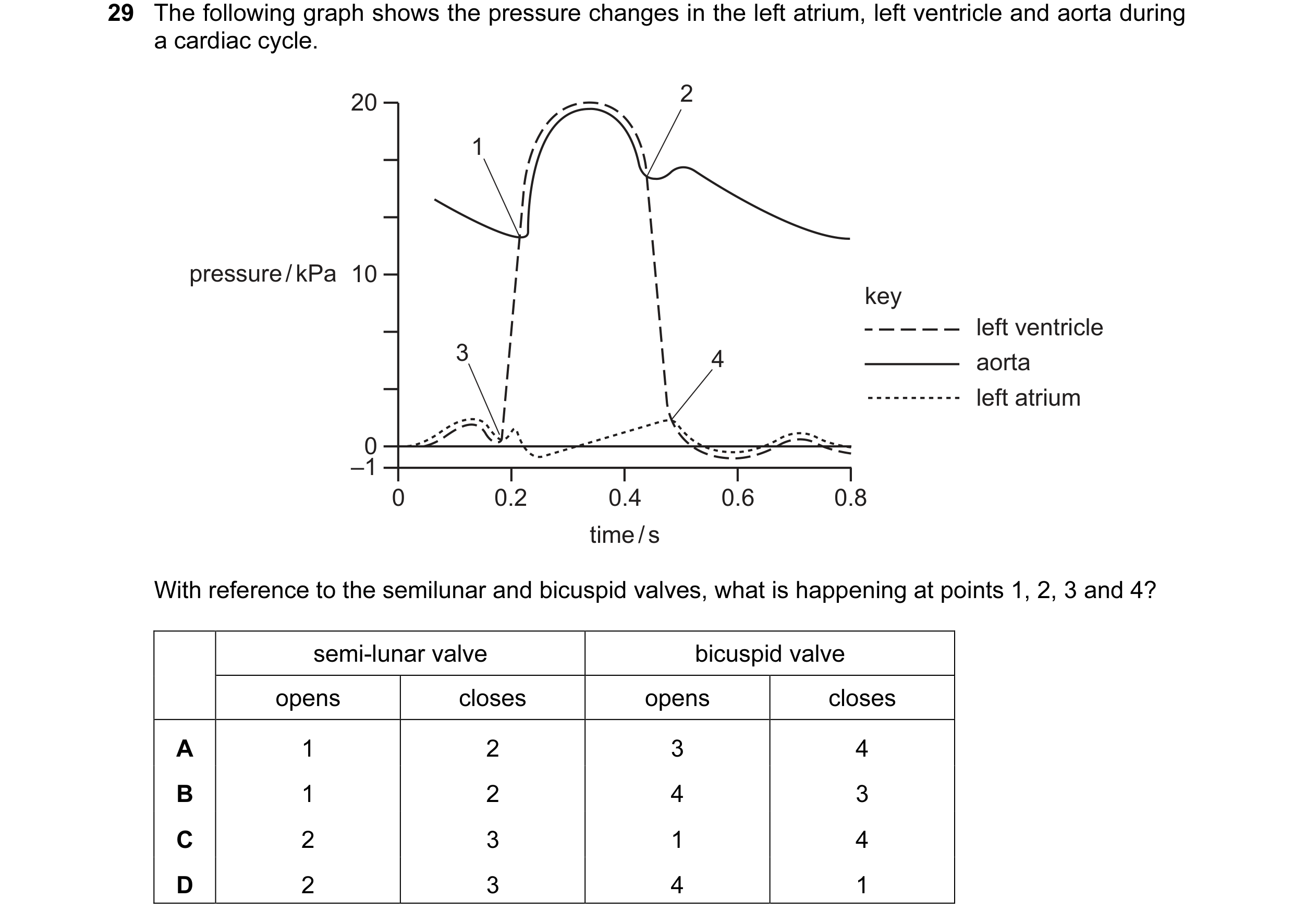 Question 5: The following graph shows the pressure changes in the left atrium, left ventricle and aorta during a cardiac cycle. 20 2 1 pressure / kPa 1…