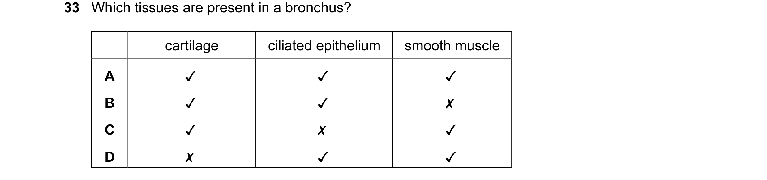 Question 12: Which tissues are present in a bronchus?
0 0O WwW >
cartilage
~*~ KOM
ciliated epithelium
K& 4
smooth muscle
<< x