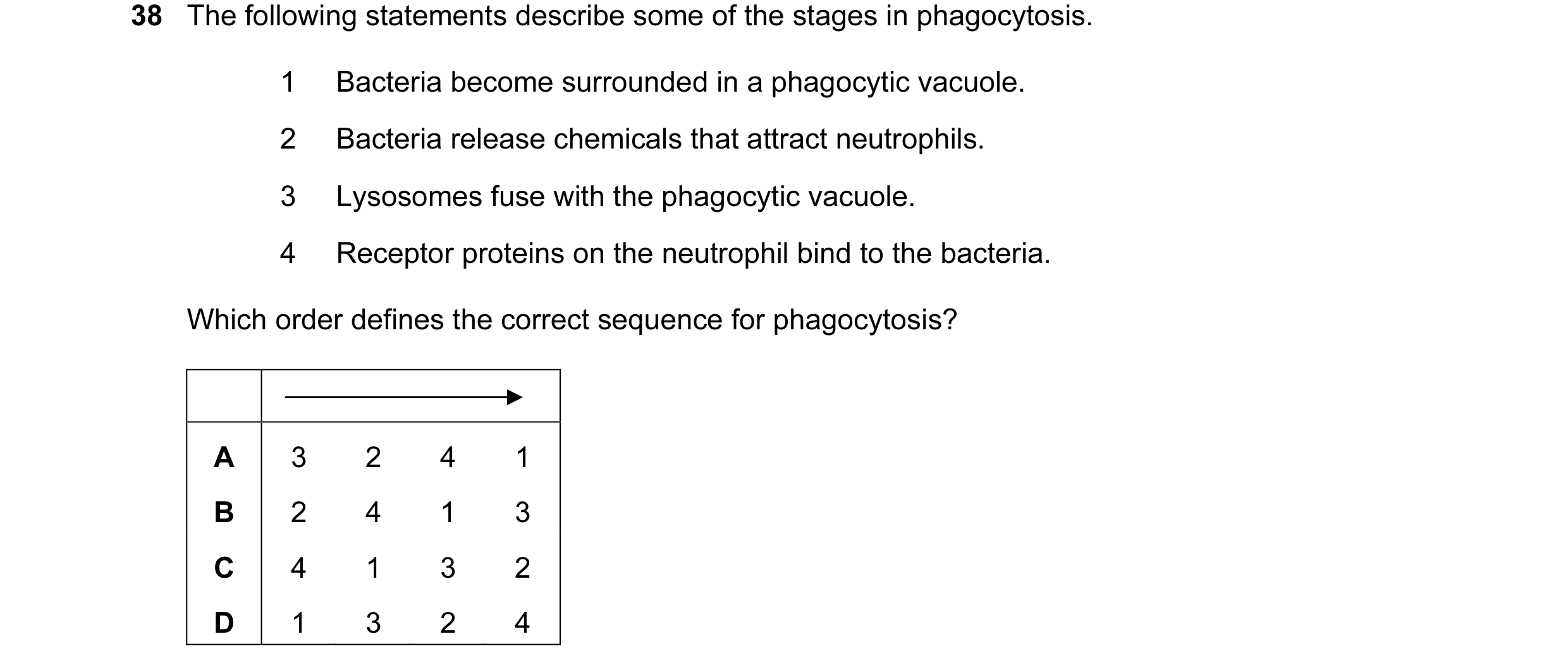 Question 8: The following statements describe some of the stages in phagocytosis. 1 Bacteria become surrounded in a phagocytic vacuole. 2 Bacteria rele…