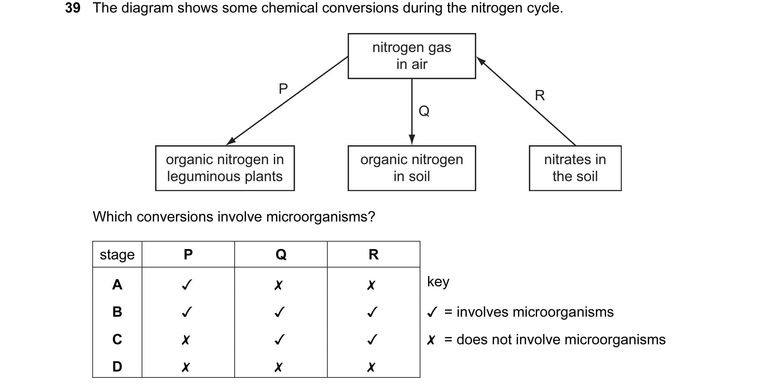 Question 7: The diagram shows some chemical conversions during the nitrogen cycle.

nitrogen gas
in air

organic nitrogen in organic nitrogen
leguminou…