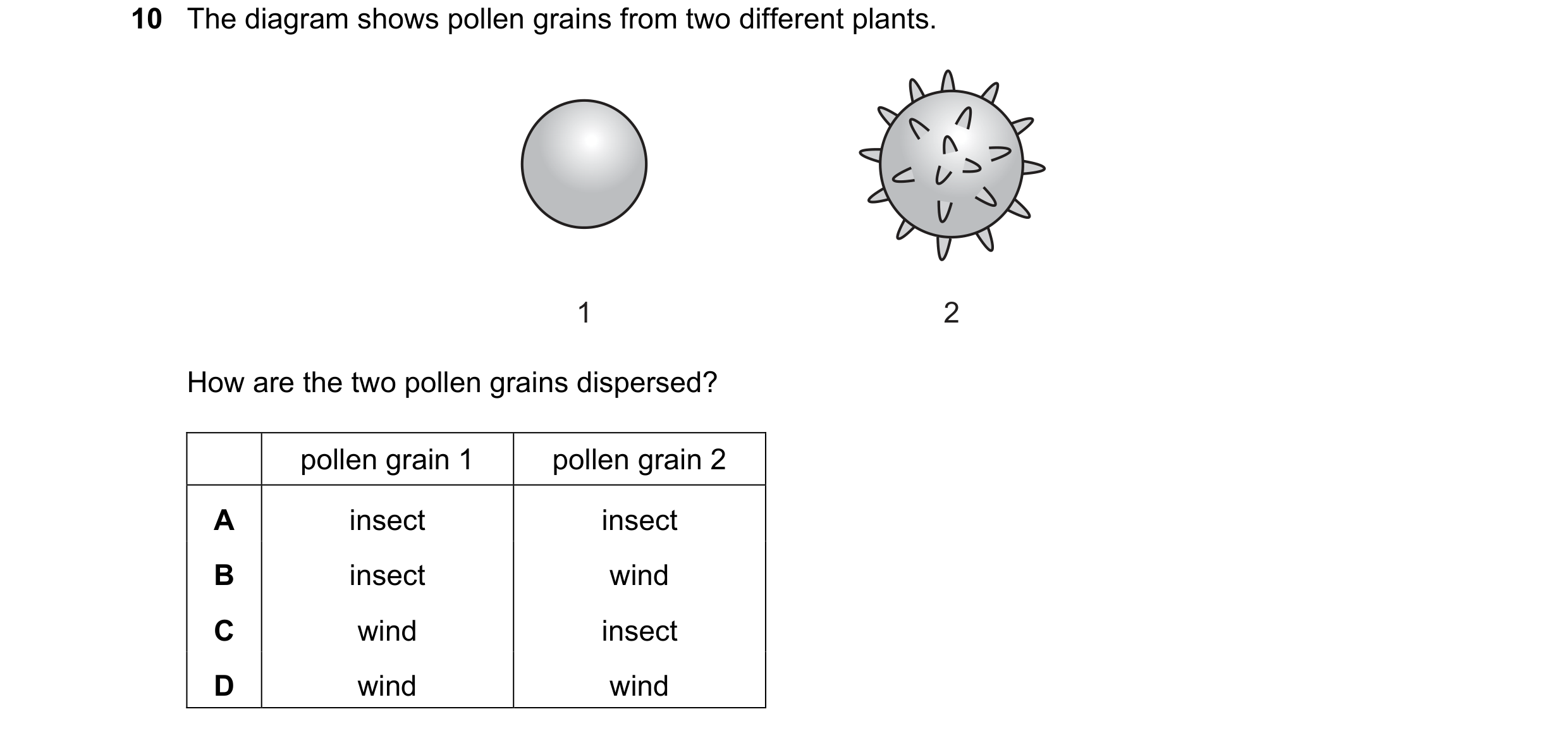 Question 25: The diagram shows pollen grains from two different plants. 1 2 How are the two pollen grains dispersed? pollen grain 1 pollen grain 2 A ins…