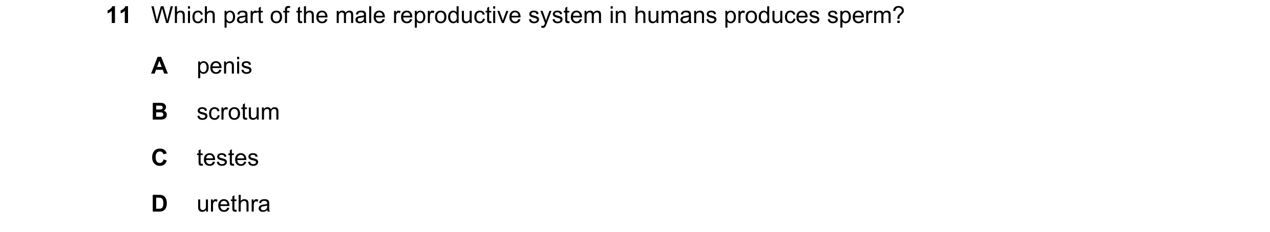 Question 26: Which part of the male reproductive system in humans produces sperm? A penis B scrotum C testes D urethra