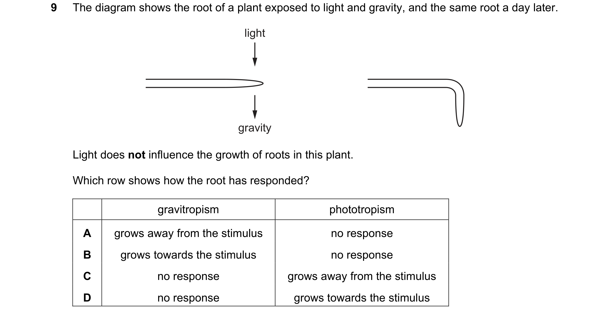 Question 18: The diagram shows the root of a plant exposed to light and gravity, and the same root a day later. light gravity Light does not influence t…